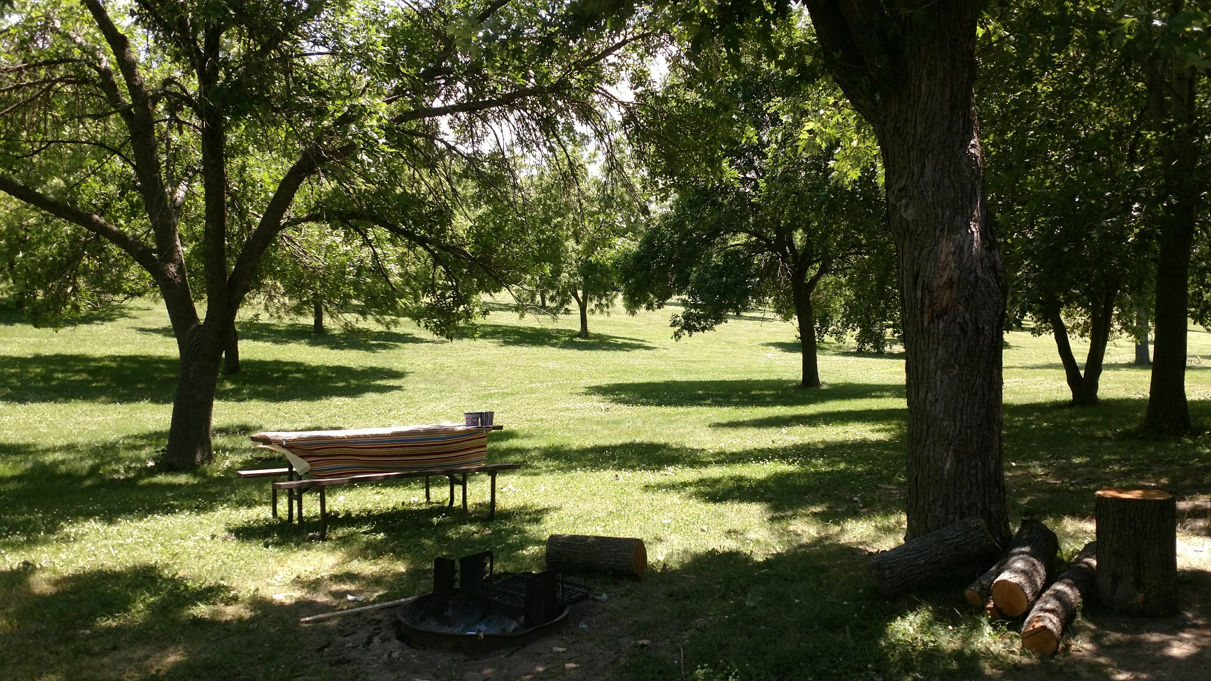 Camper submitted image from Branched Oak Lake State Rec Area - 2
