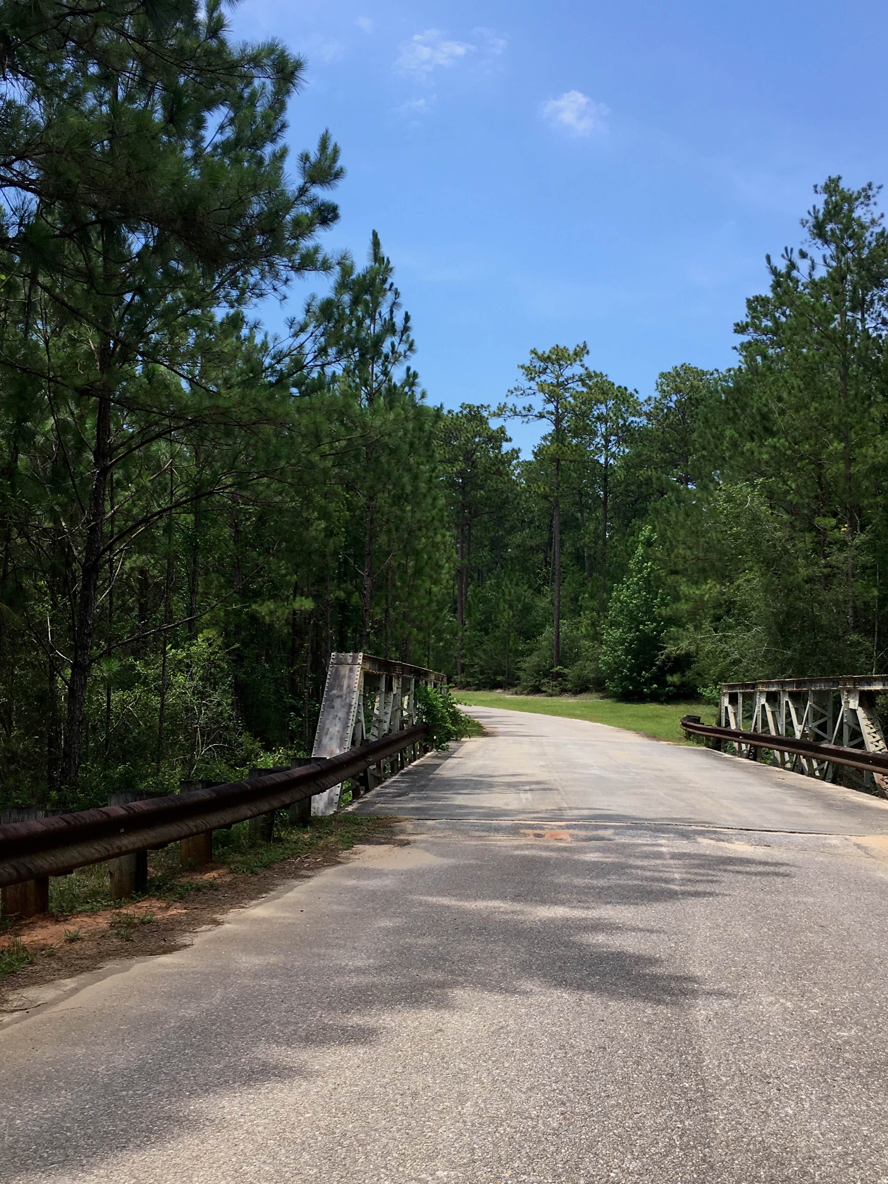 Camper submitted image from Blakeley State Park Campground - 4