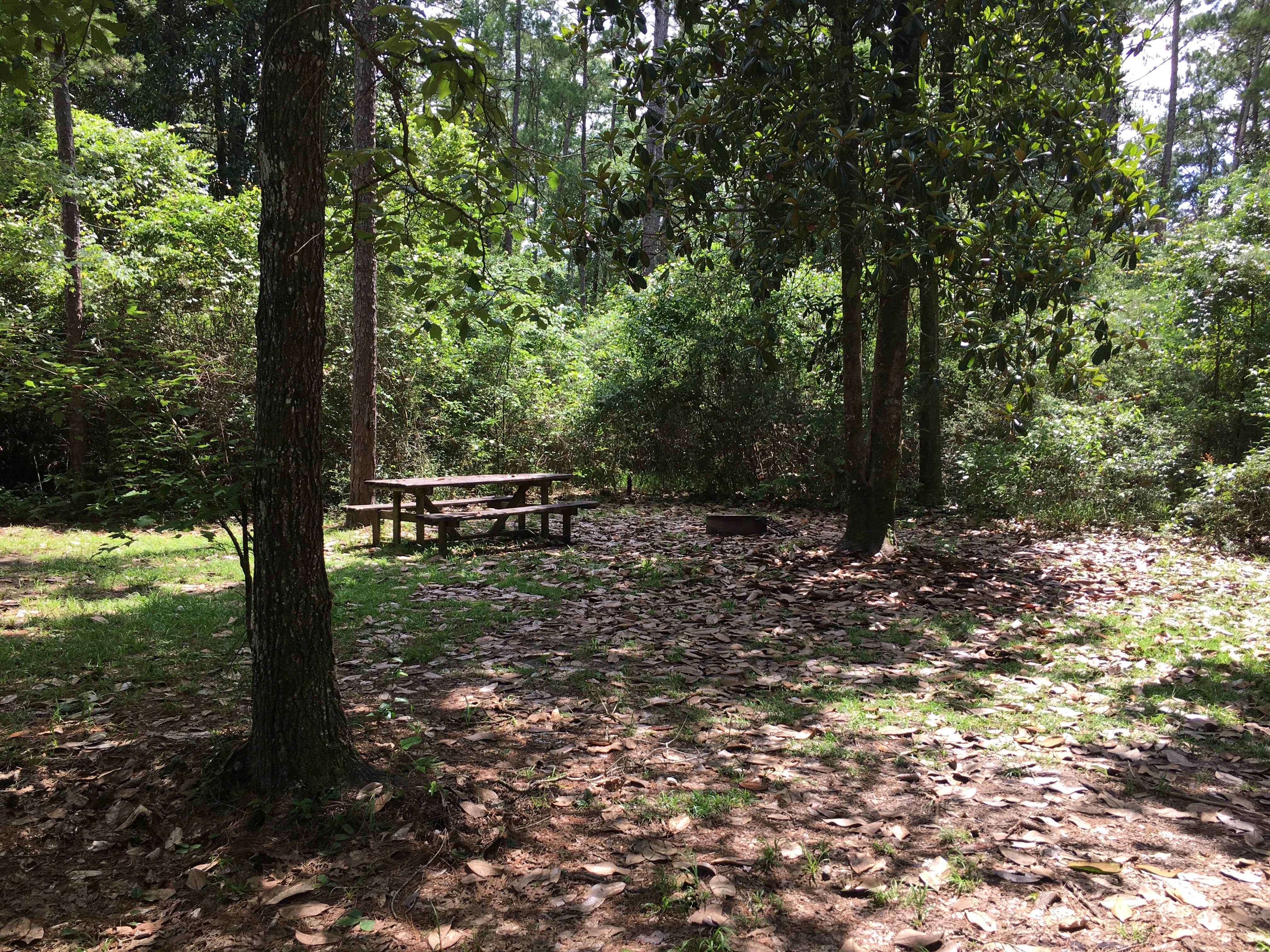 Camper submitted image from Blakeley State Park Campground - 2