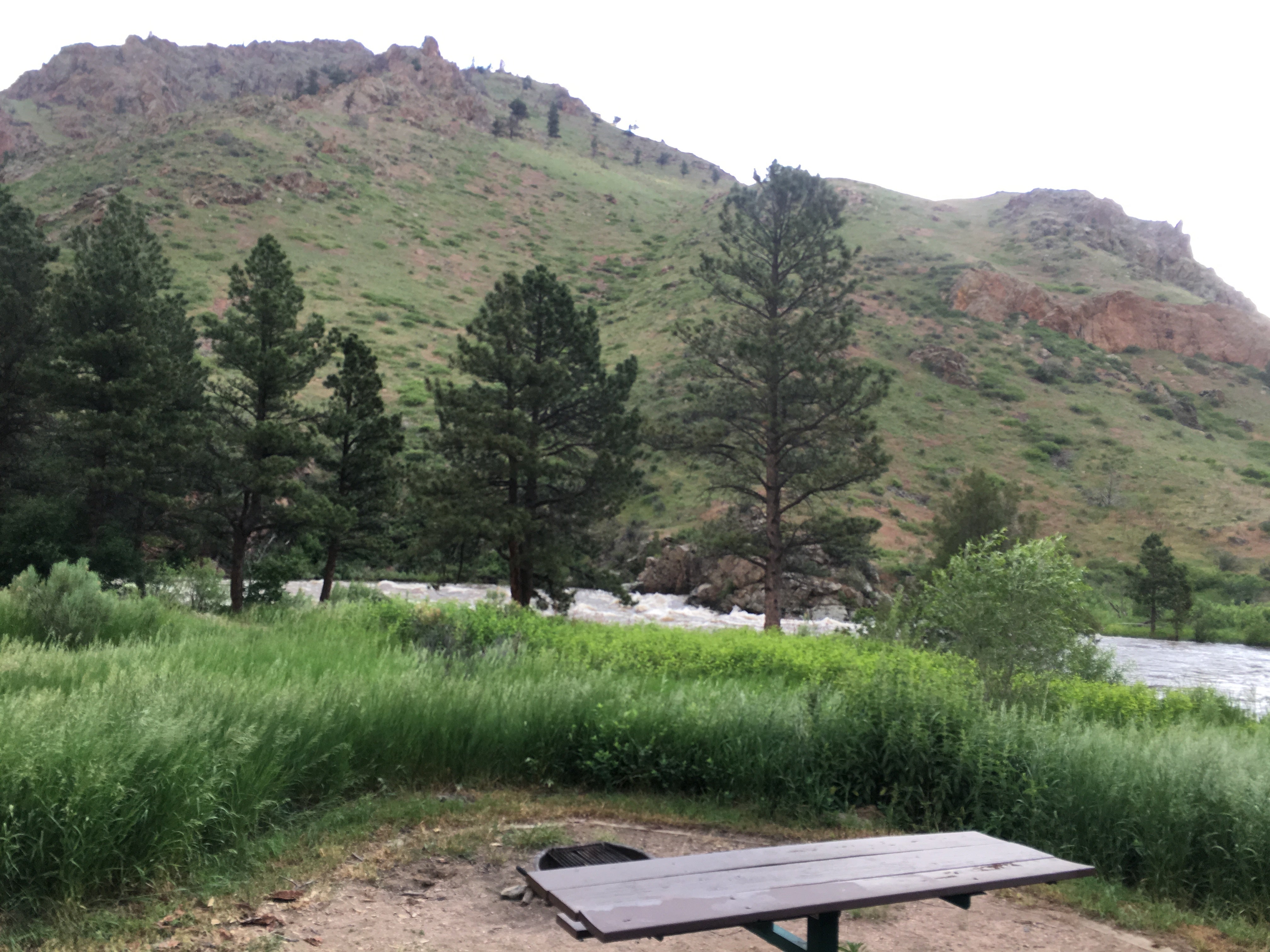 View of the Cache la Poudre river at high water from campsite #1.