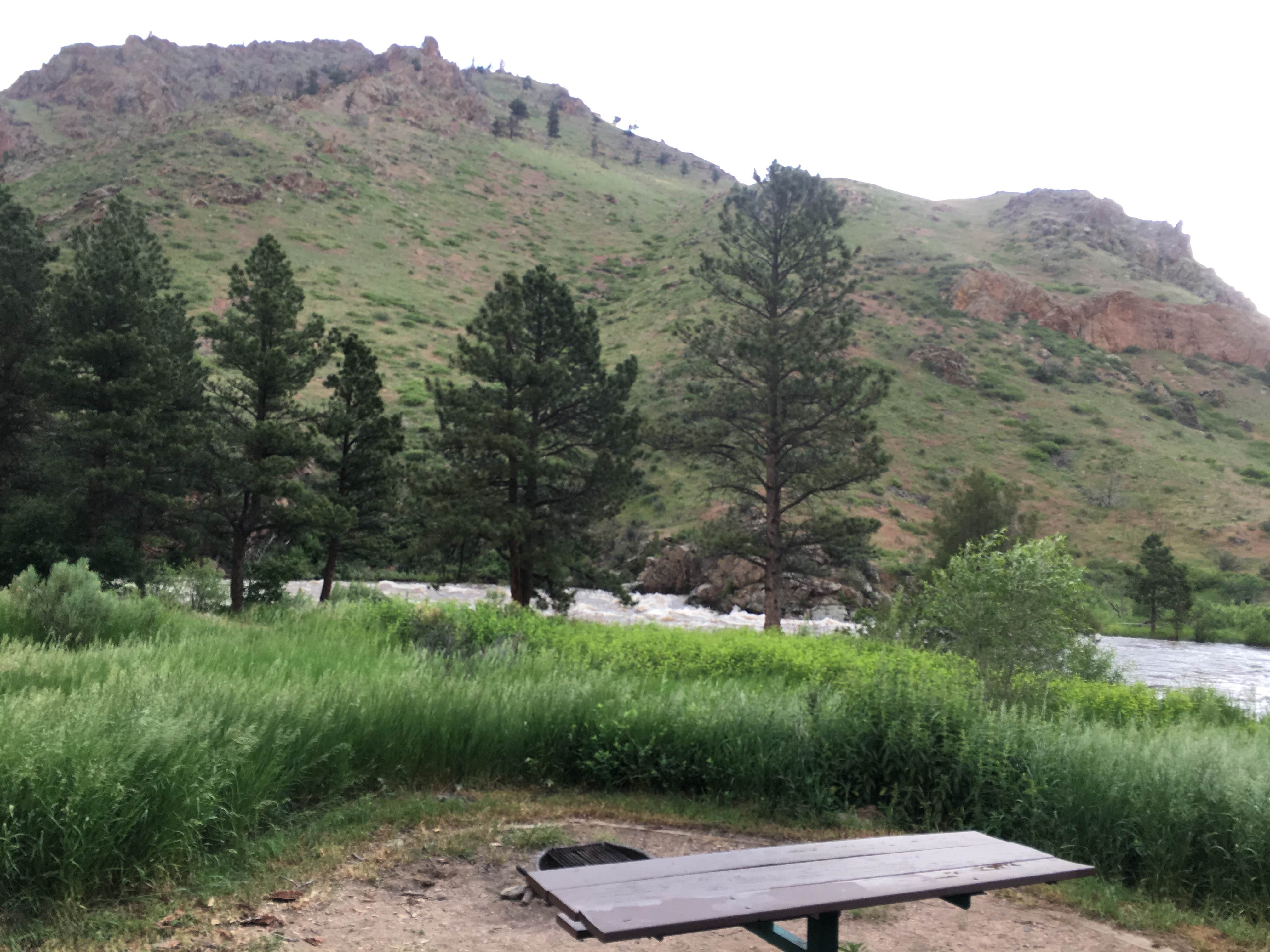 Camper submitted image from Stove Prairie - 3