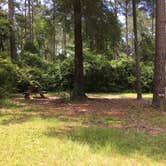 Review photo of Blakeley State Park Campground by Asher K., June 27, 2017