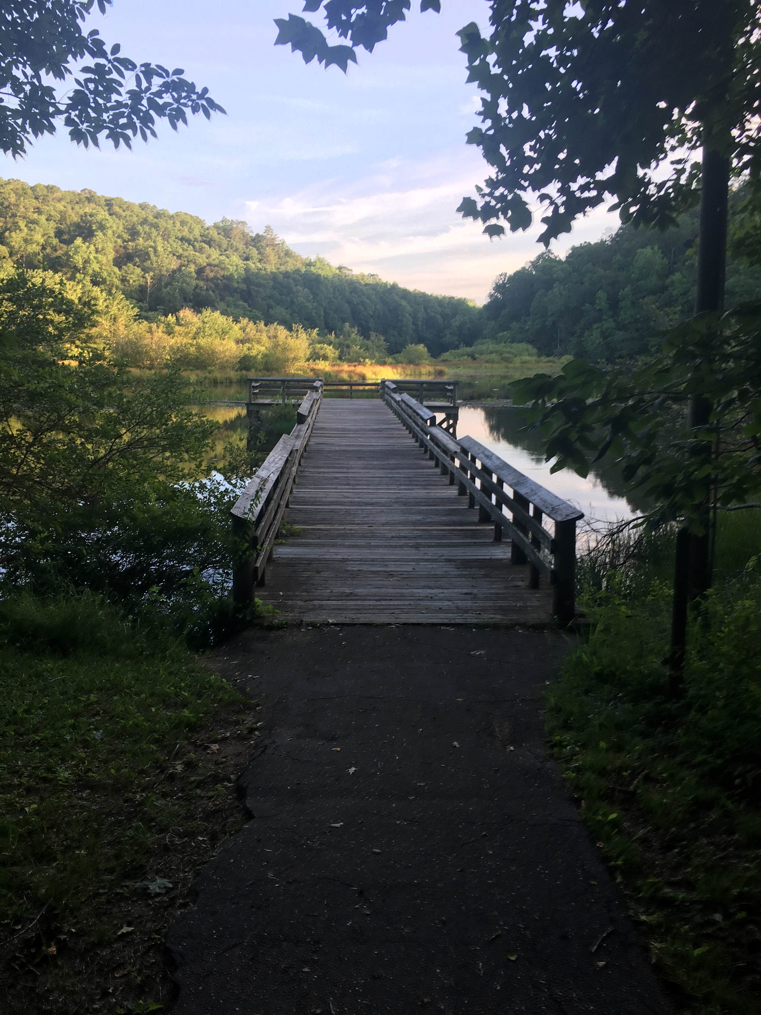 Camper submitted image from Brushy Lake Recreation Area - 2