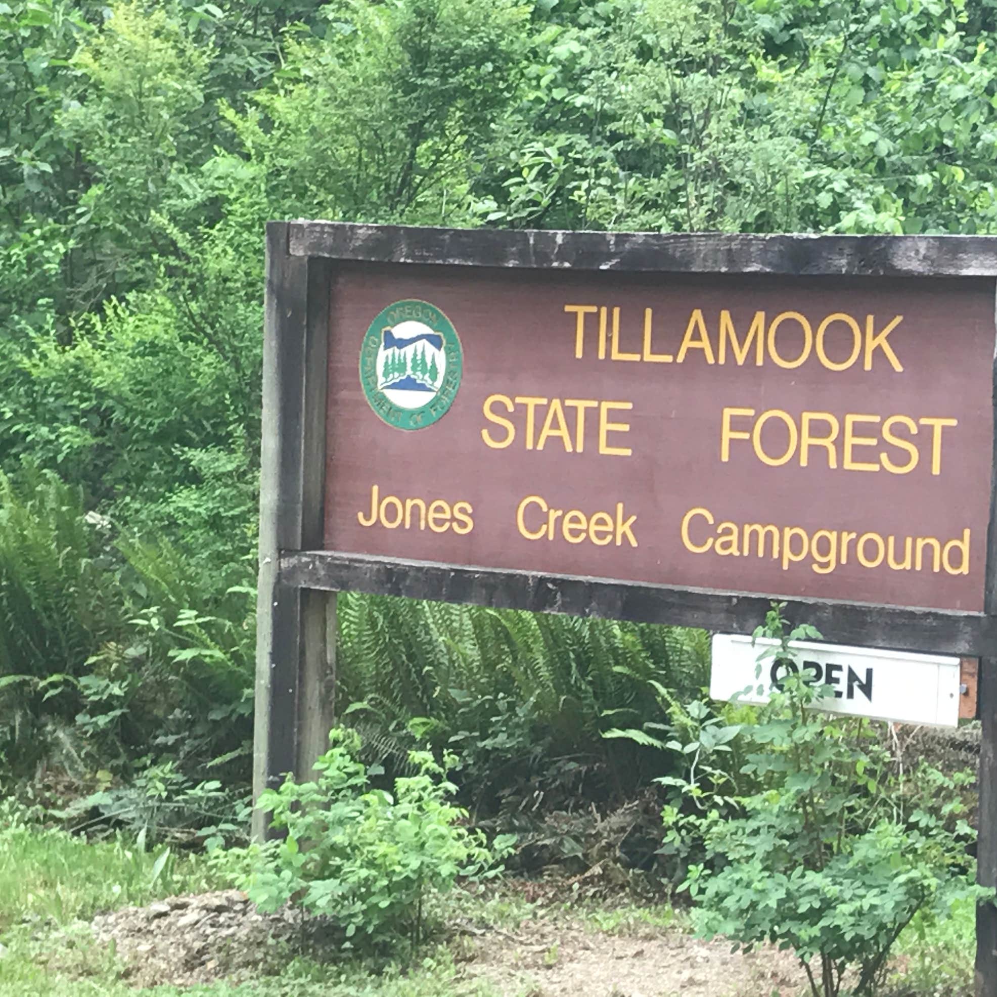 Jones Creek Camping The Dyrt