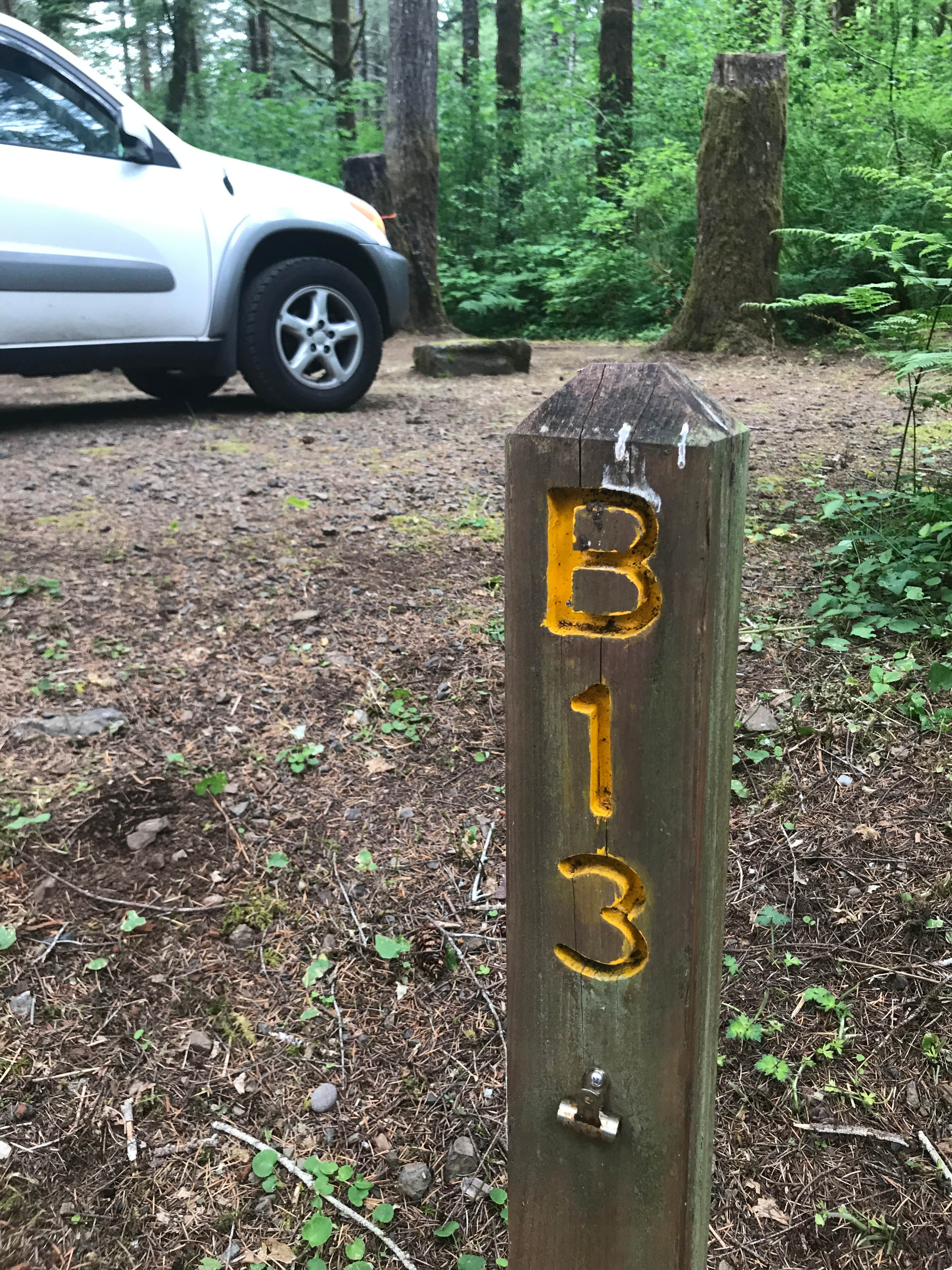 Stephanie Z.'s photo of tent camping at Jones Creek near Lafayette, OR