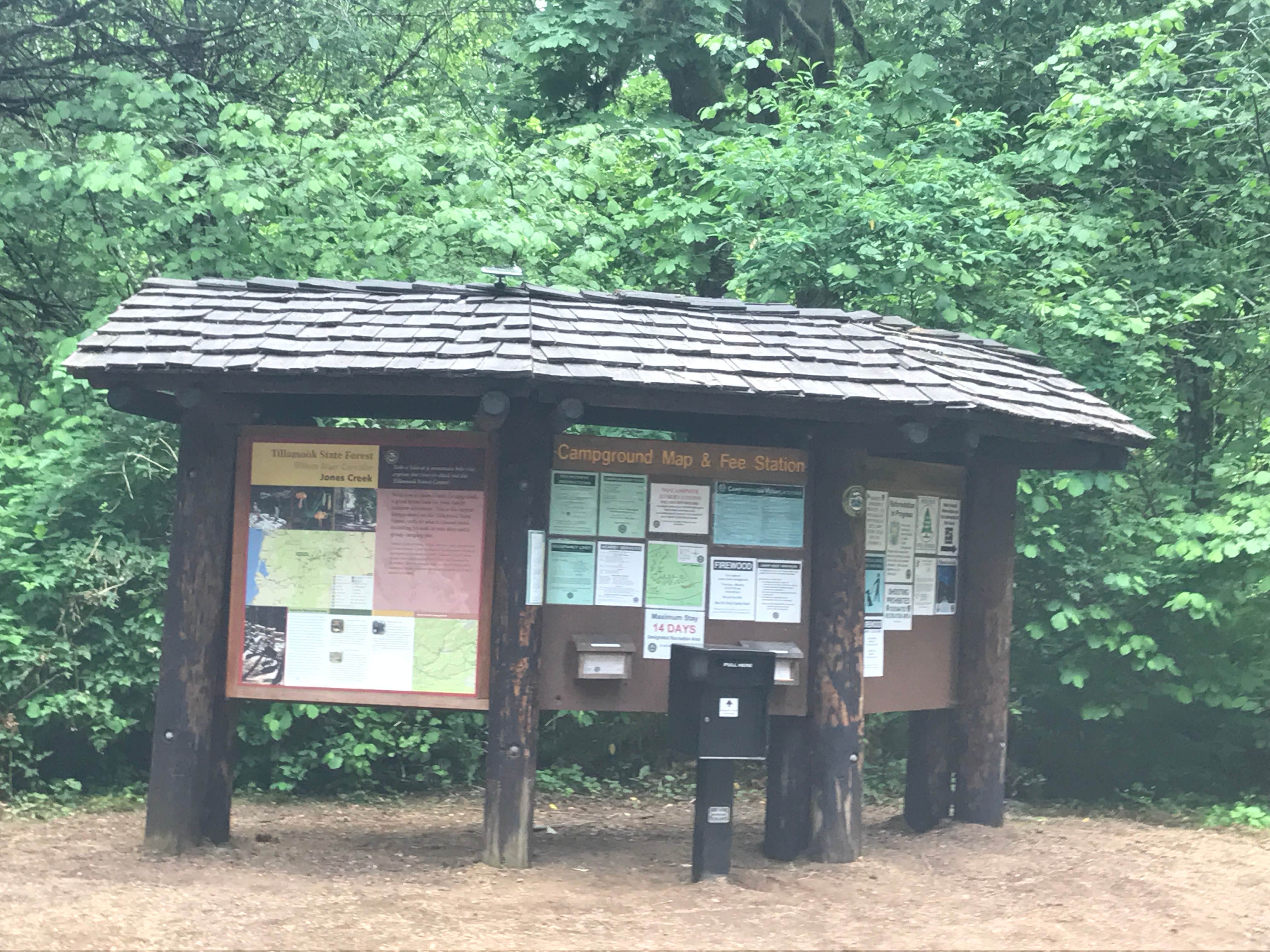 Camper submitted image from Jones Creek - 3