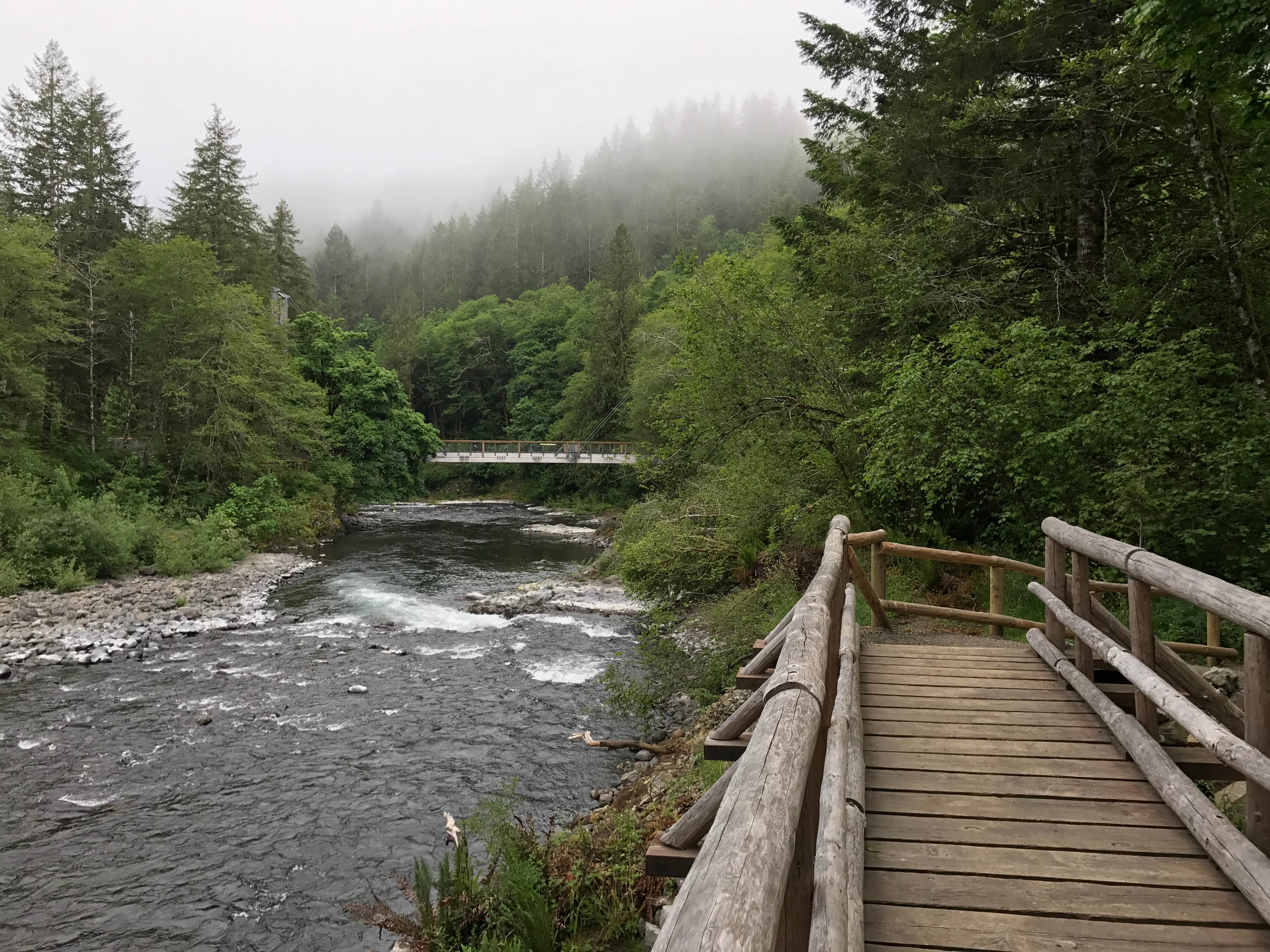 Camper submitted image from Jones Creek - 4