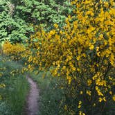 Review photo of Jones Creek by Stephanie Z., June 27, 2017