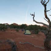 Review photo of Devils Garden Campground — Arches National Park by Asher K., June 22, 2016