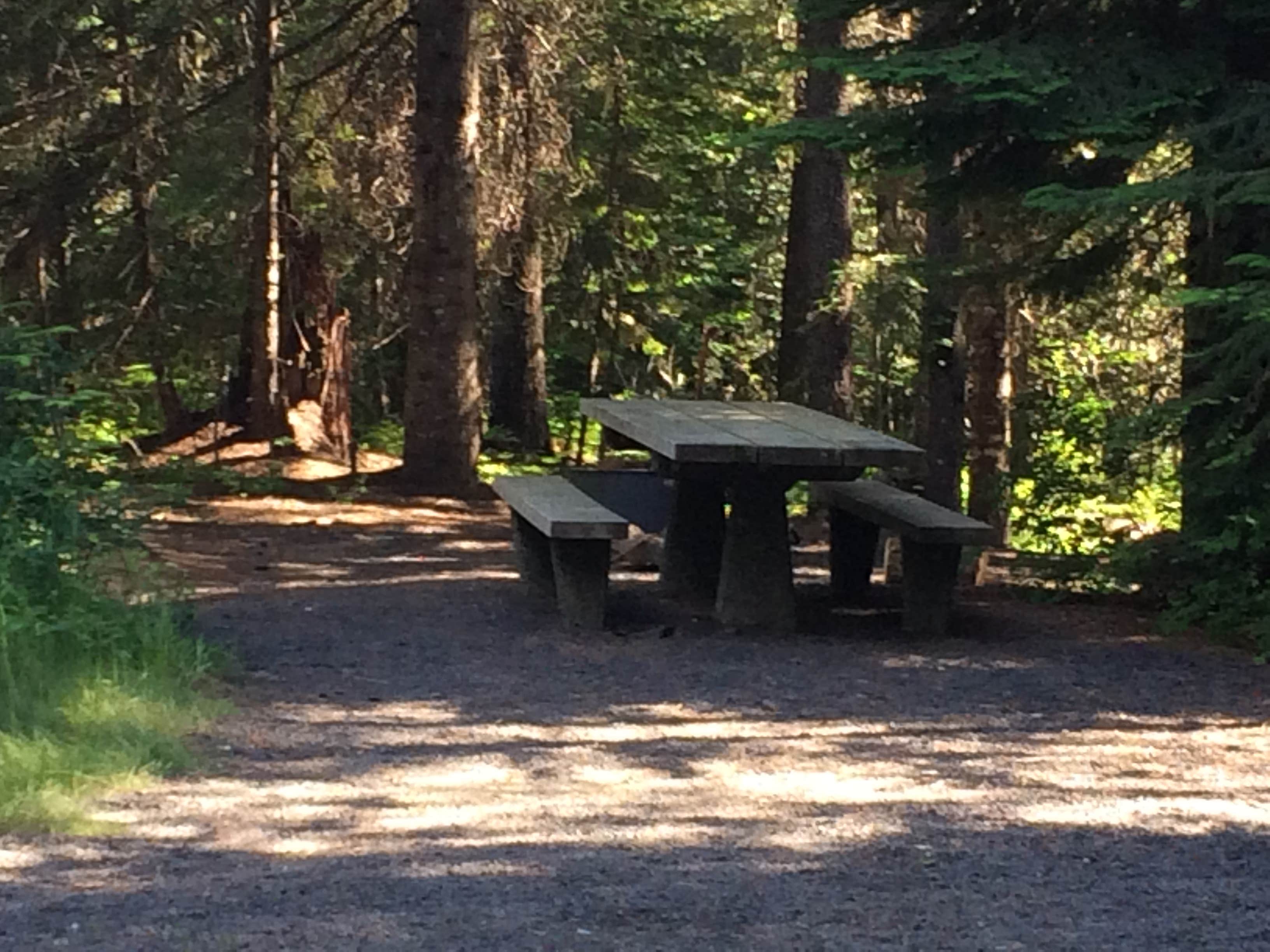 Camper submitted image from Elk Creek Campground - 5