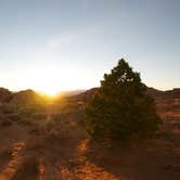Review photo of Devils Garden Campground — Arches National Park by Asher K., June 22, 2016