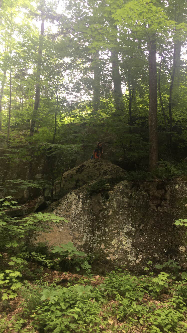 Camper submitted image from Branbury State Park Campground - 2