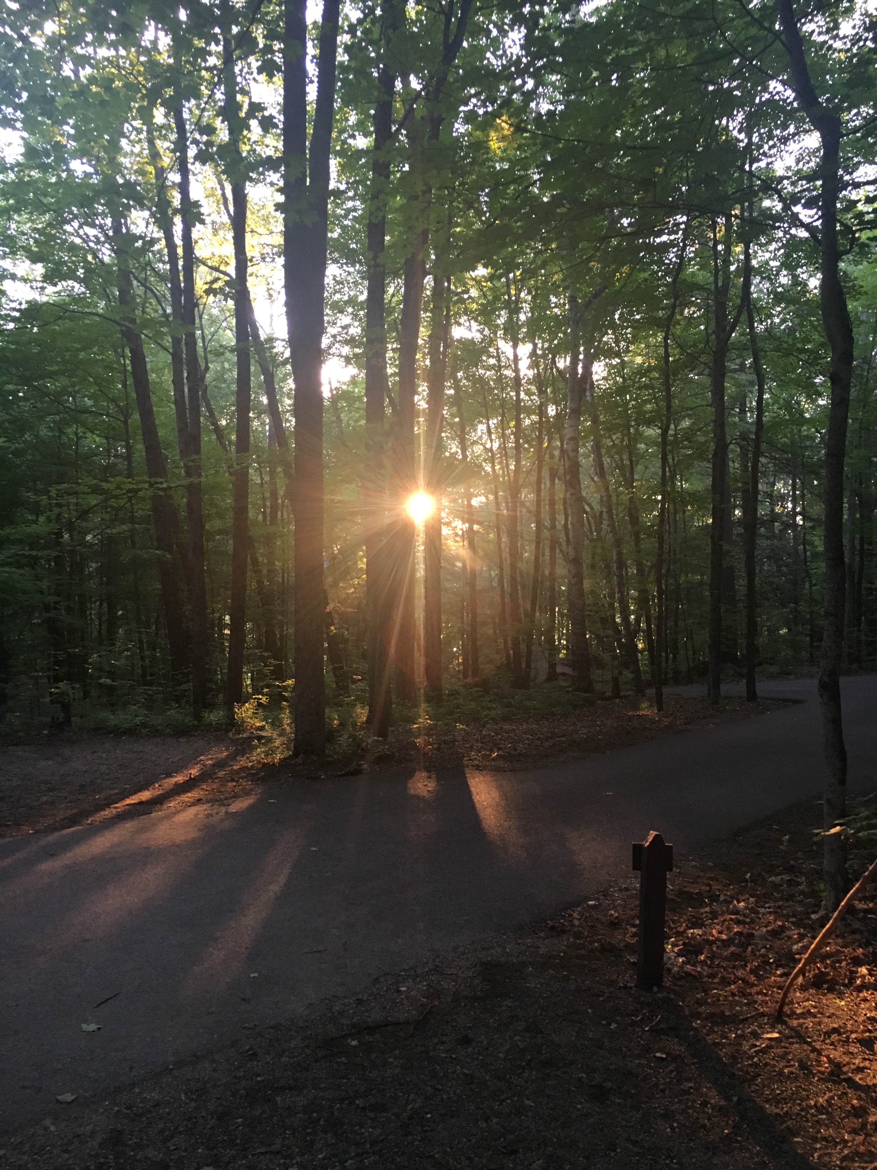 Camper submitted image from Branbury State Park Campground - 3