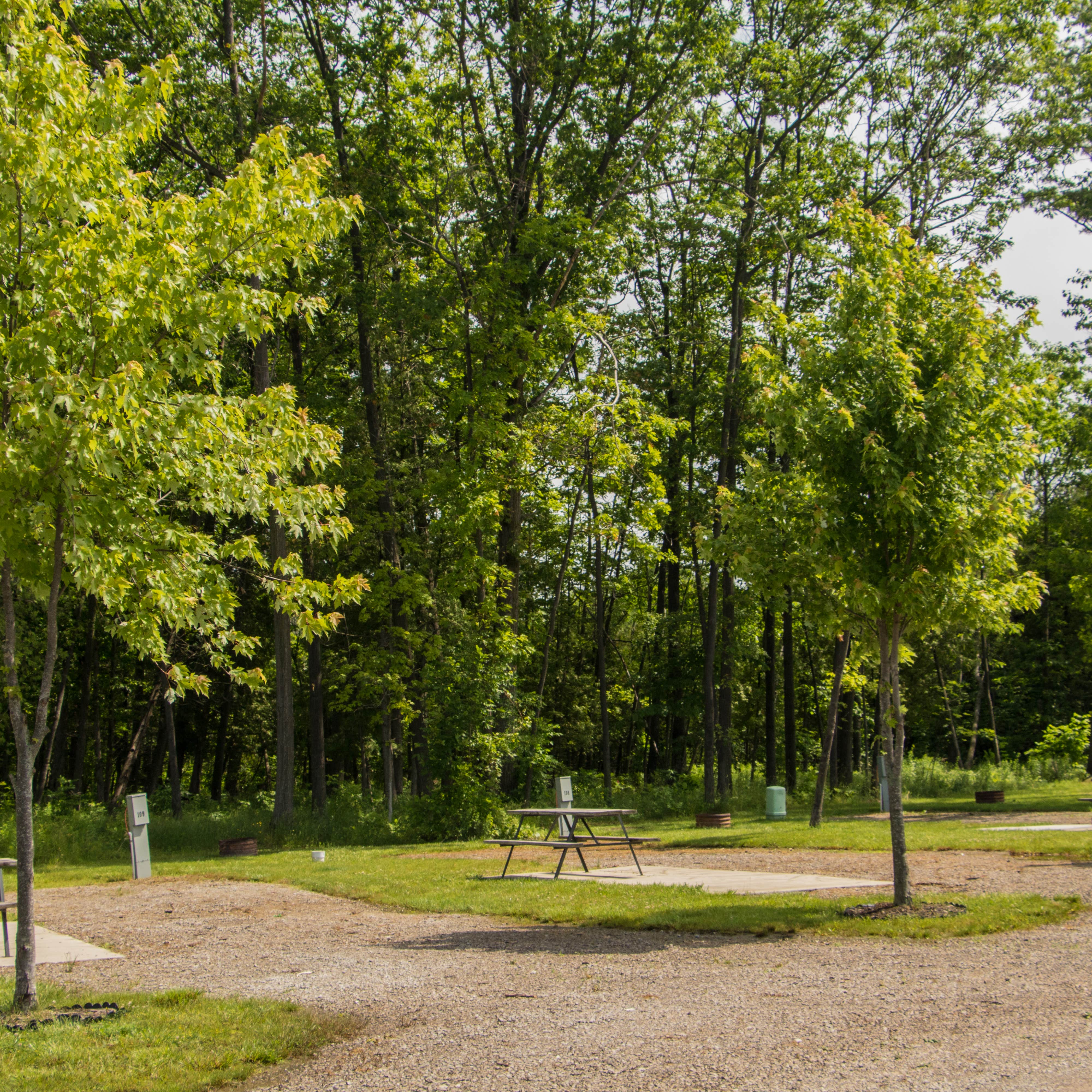 Escape to Nature's Embrace: Your Guide to Michigan's Honcho Rest Campground