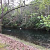 Review photo of Chief Ladiga Trail Campground by Asher K., June 27, 2017