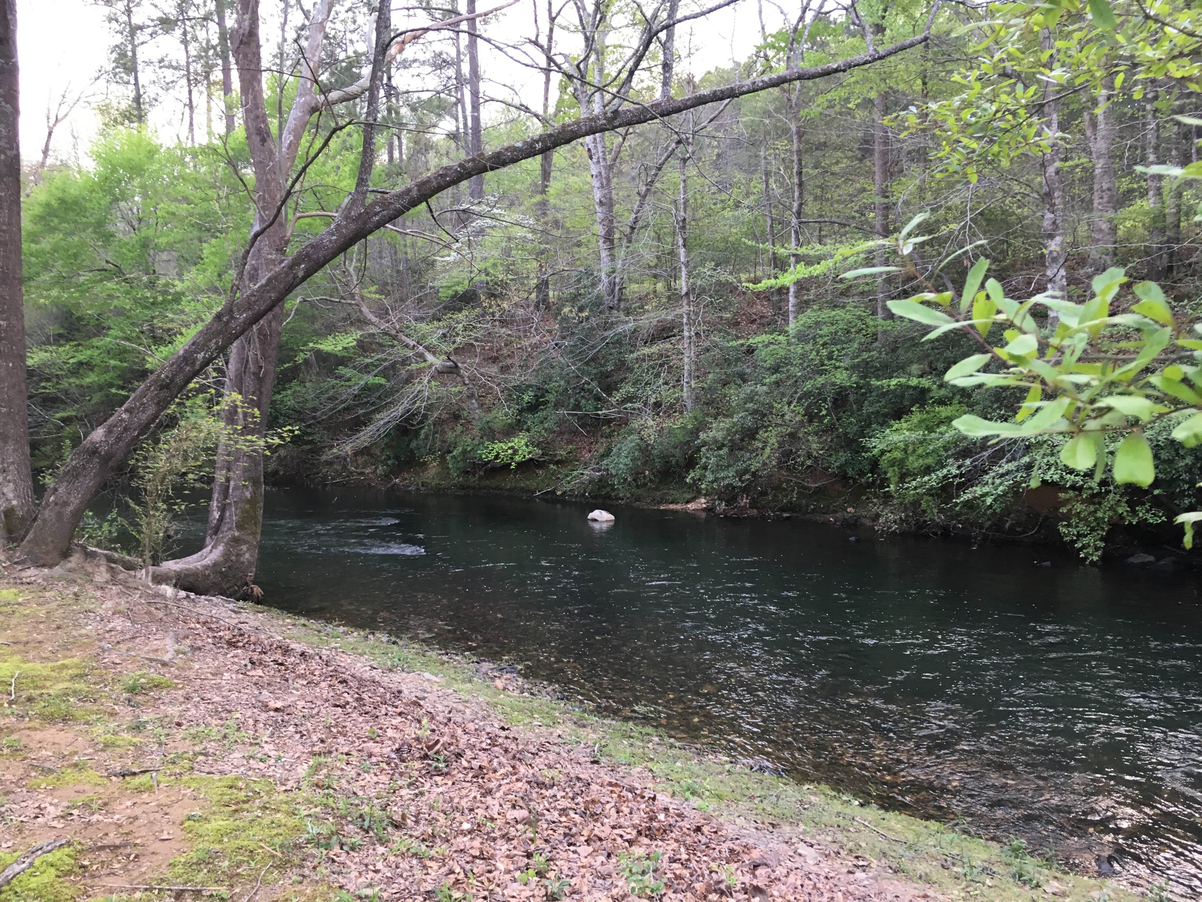 Camper submitted image from Chief Ladiga Trail Campground - 5