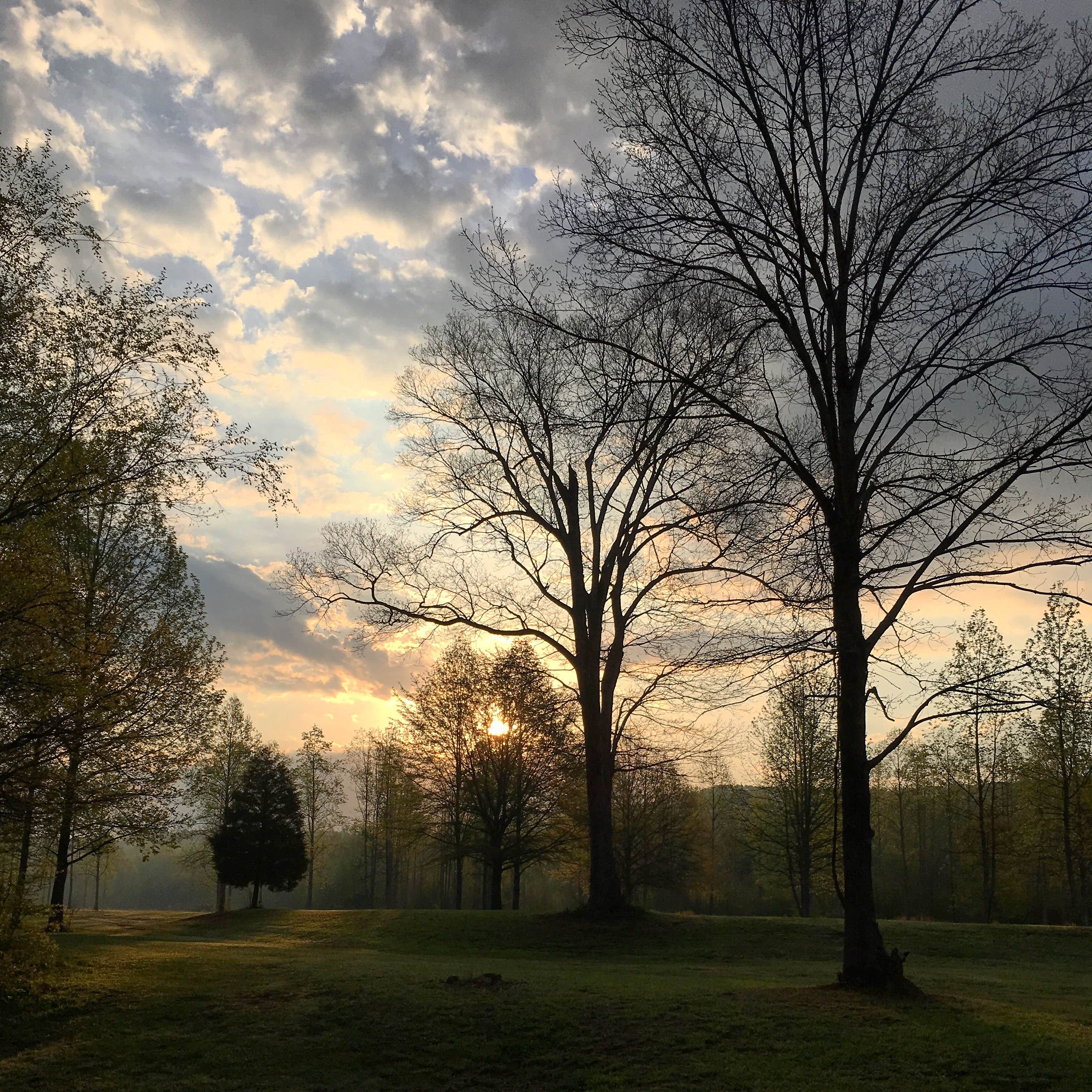 Camper submitted image from Chief Ladiga Trail Campground - 3