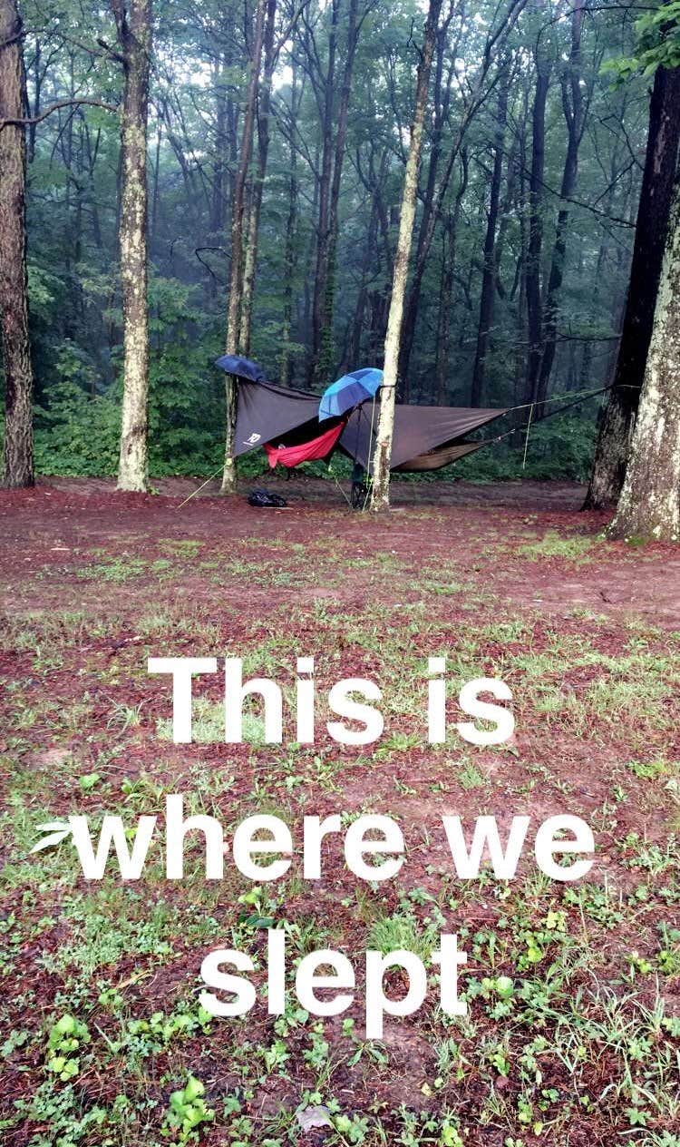 Camper submitted image from Tar Hollow State Park Campground - 3