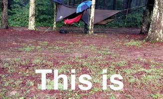 Matt L.'s photo at Tar Hollow State Park Campground near Deer Creek Lake