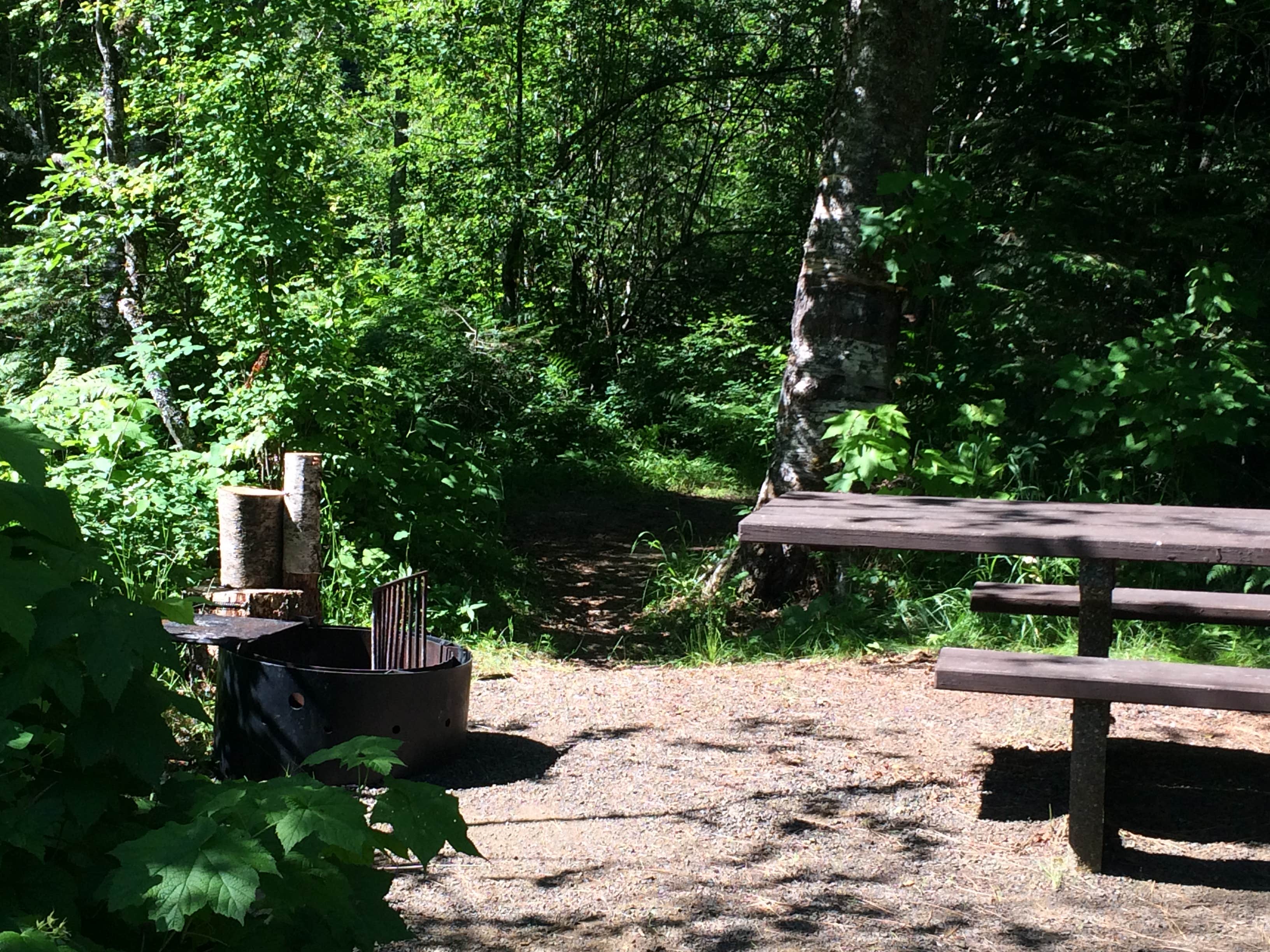 Camper submitted image from Wilderness Gateway - 3