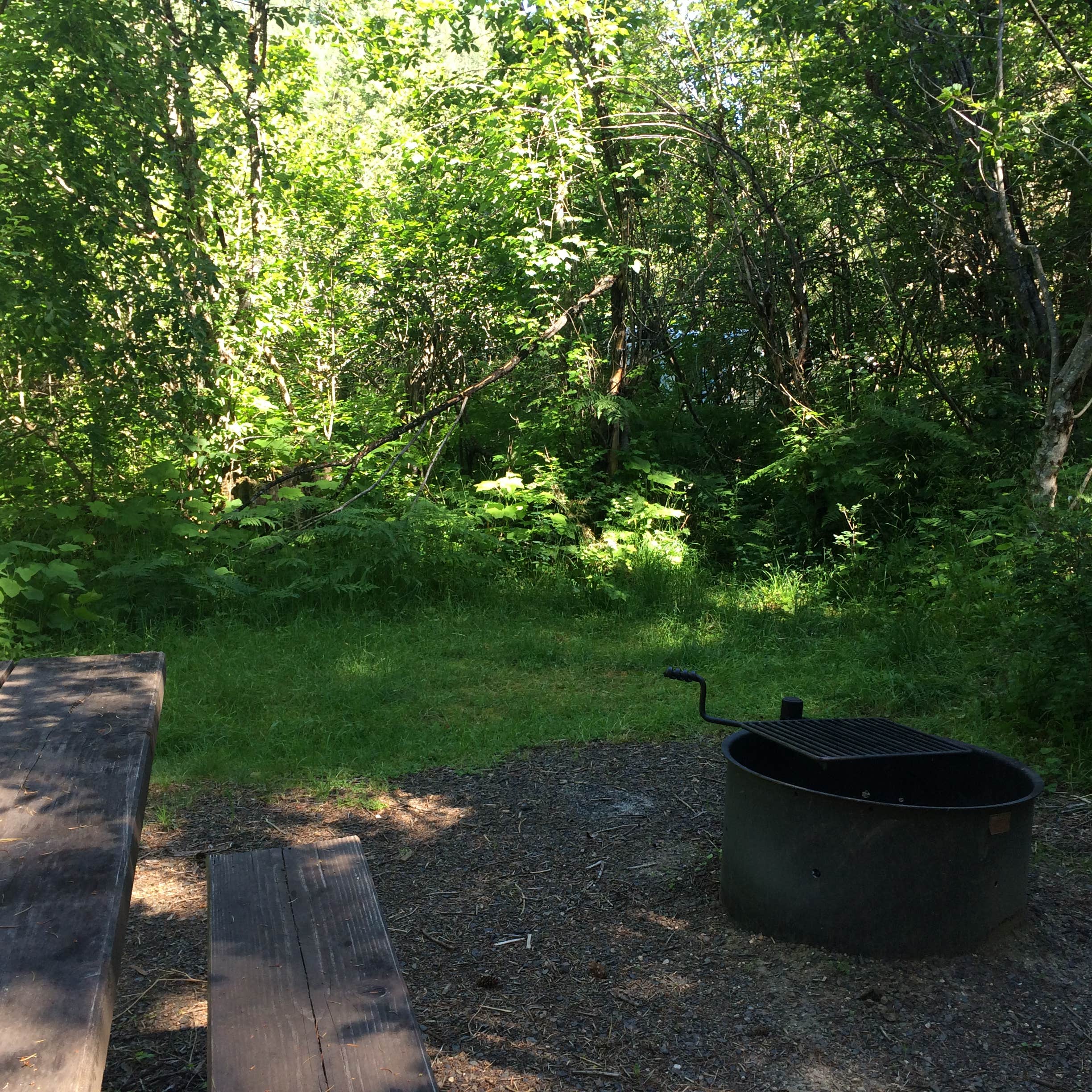 Escape to Idaho's Wilderness Gateway: A Campground Adventure Awaits!
