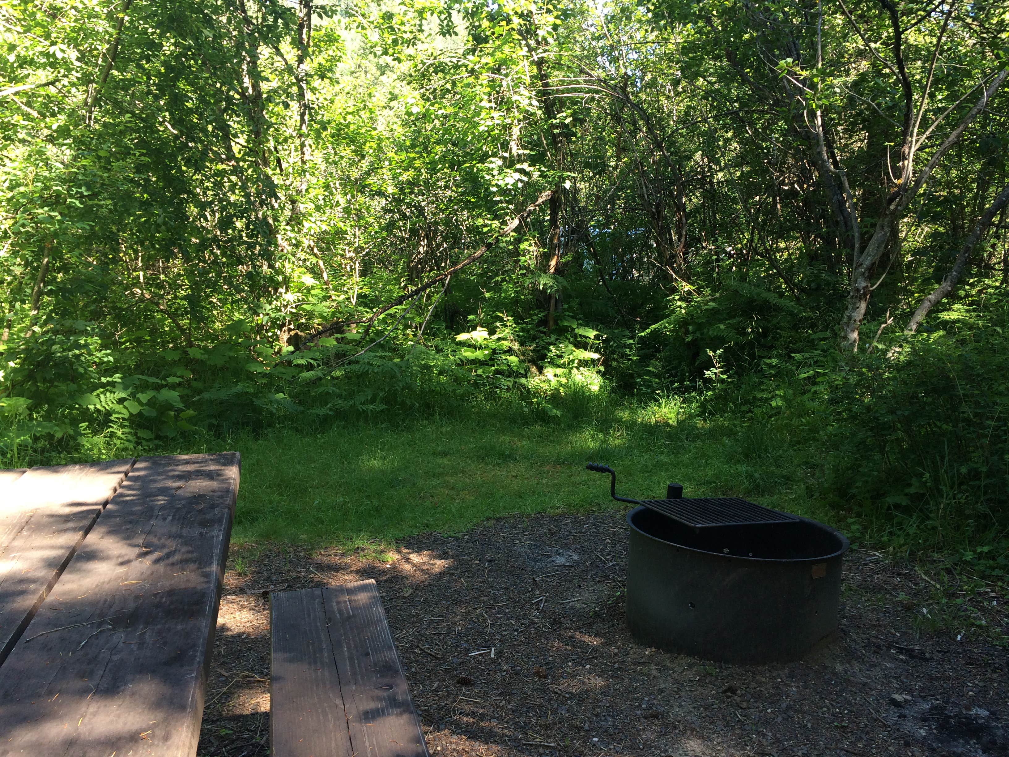 Camper submitted image from Wilderness Gateway - 2