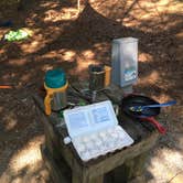 Review photo of Deerlick Creek by Asher K., June 27, 2017