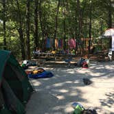 Review photo of Deerlick Creek by Asher K., June 27, 2017