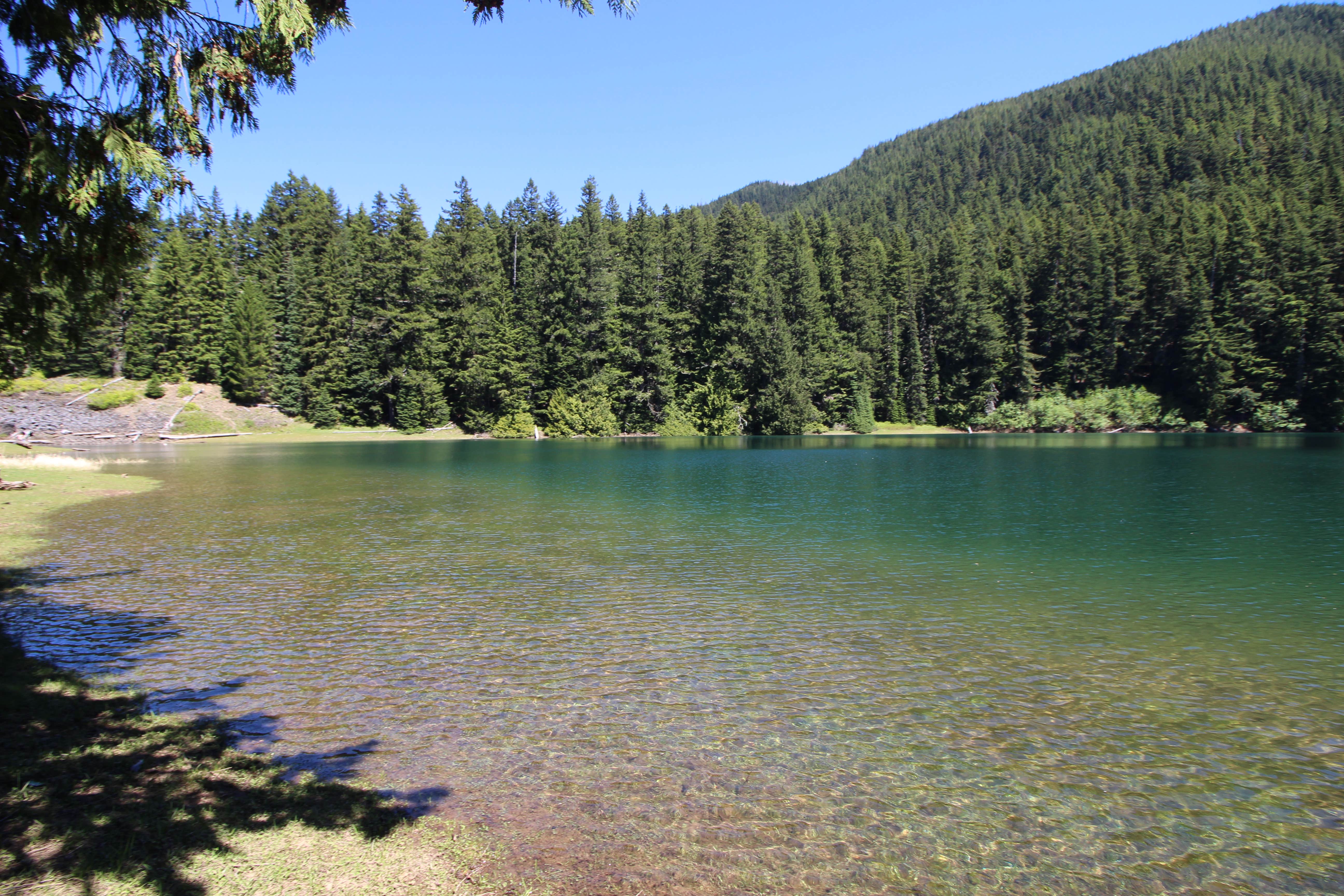 Camper submitted image from Lost Lake Group Unit - 2