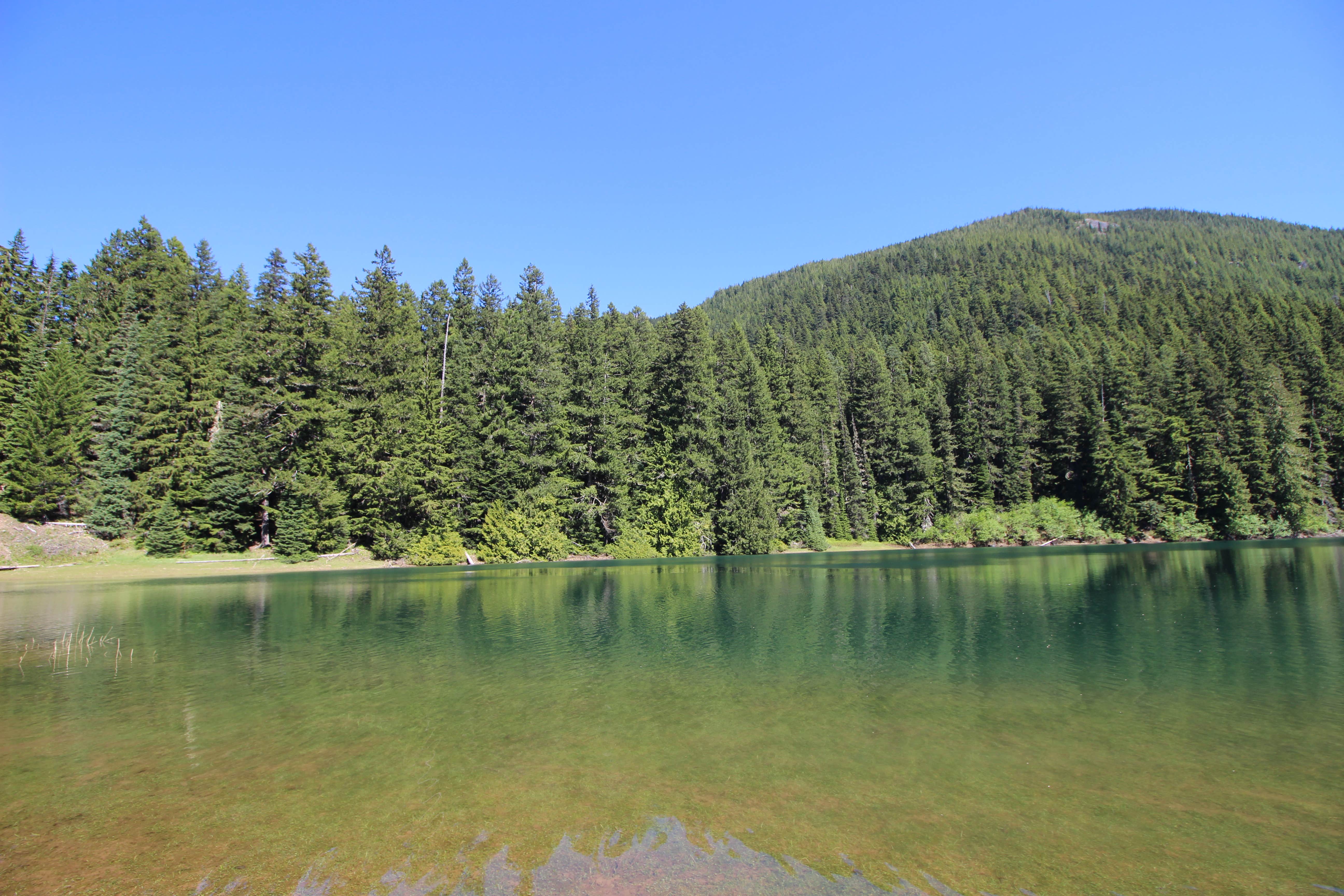 Lost Lake Group Unit The Dyrt