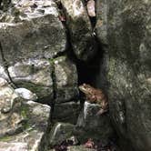 Review photo of Walls of Jericho - Clark Cemetery Backcountry Campsite by Asher K., June 27, 2017
