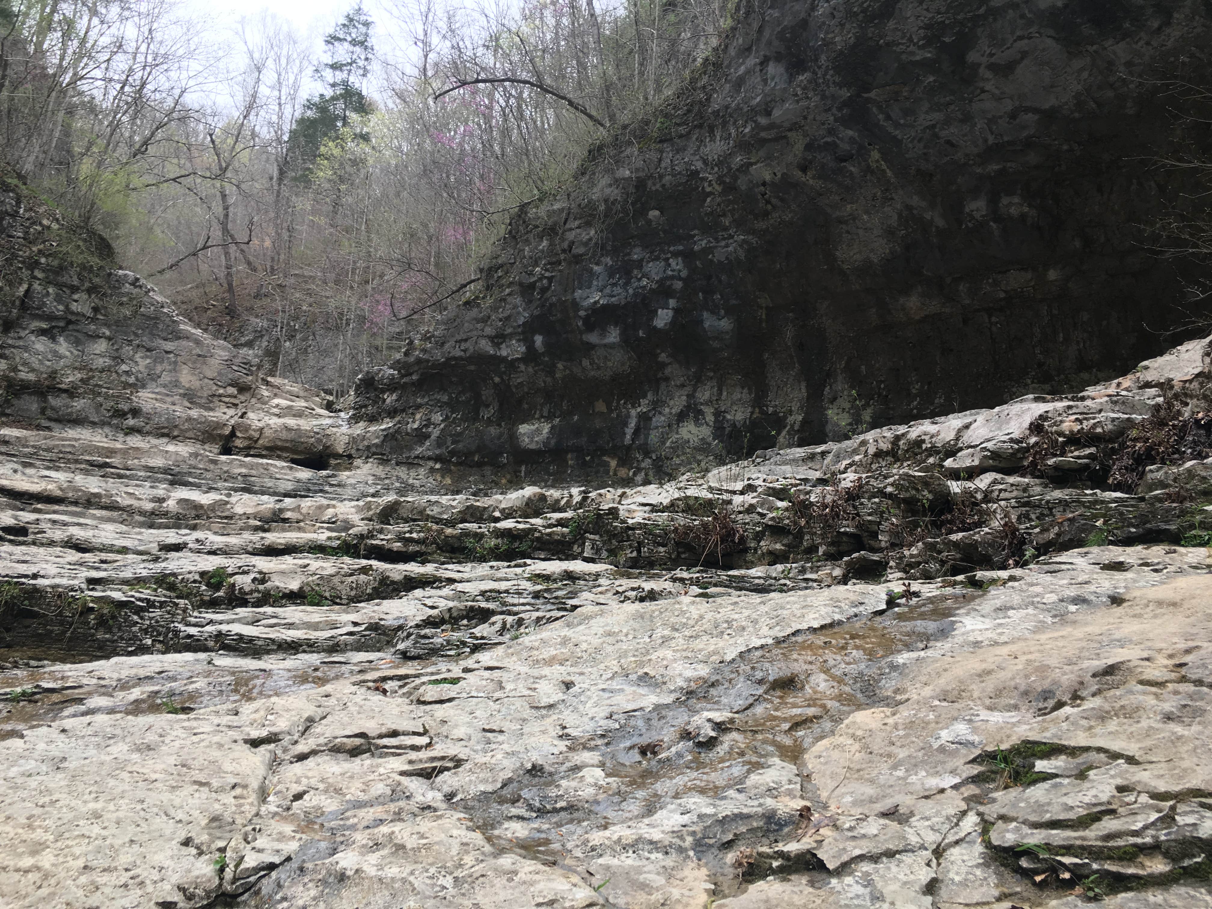 Camper submitted image from Walls of Jericho - Clark Cemetery Backcountry Campsite - 3