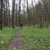 Review photo of Walls of Jericho - Clark Cemetery Backcountry Campsite by Asher K., June 27, 2017