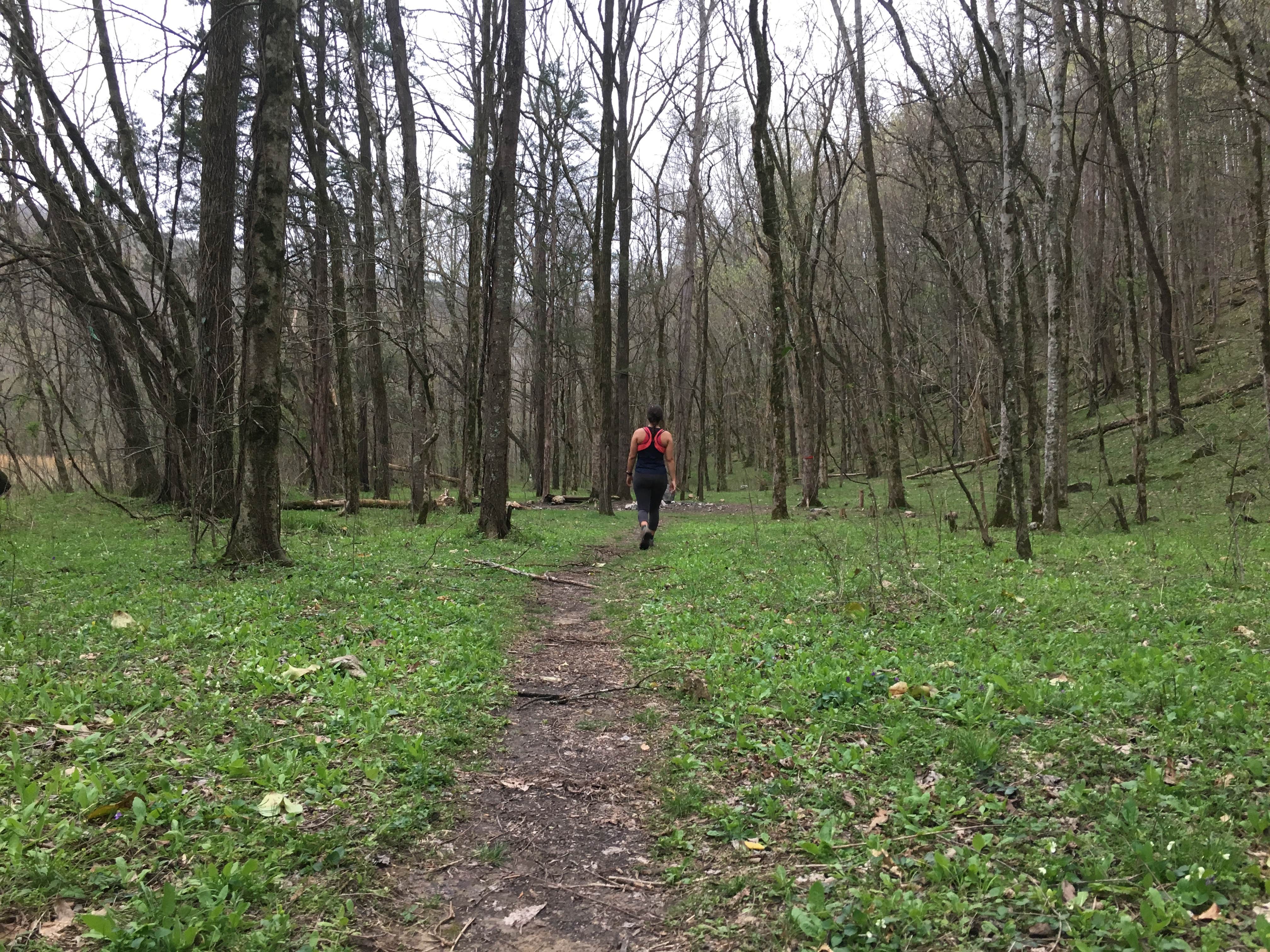 Camper submitted image from Walls of Jericho - Clark Cemetery Backcountry Campsite - 3