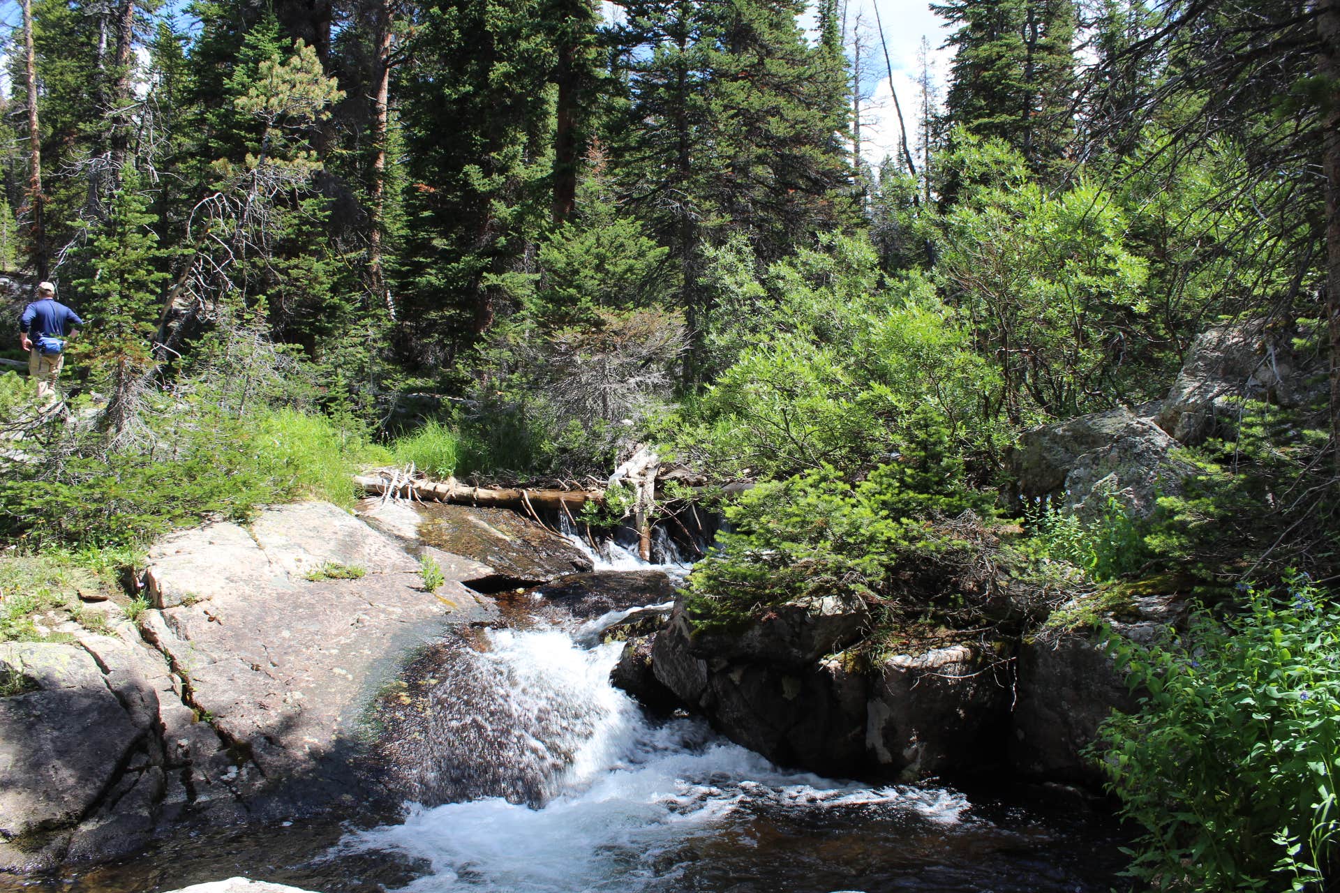 Camper submitted image from Beartooth Lake - 3