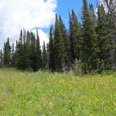 Review photo of Beartooth Lake by Annie C., June 27, 2017