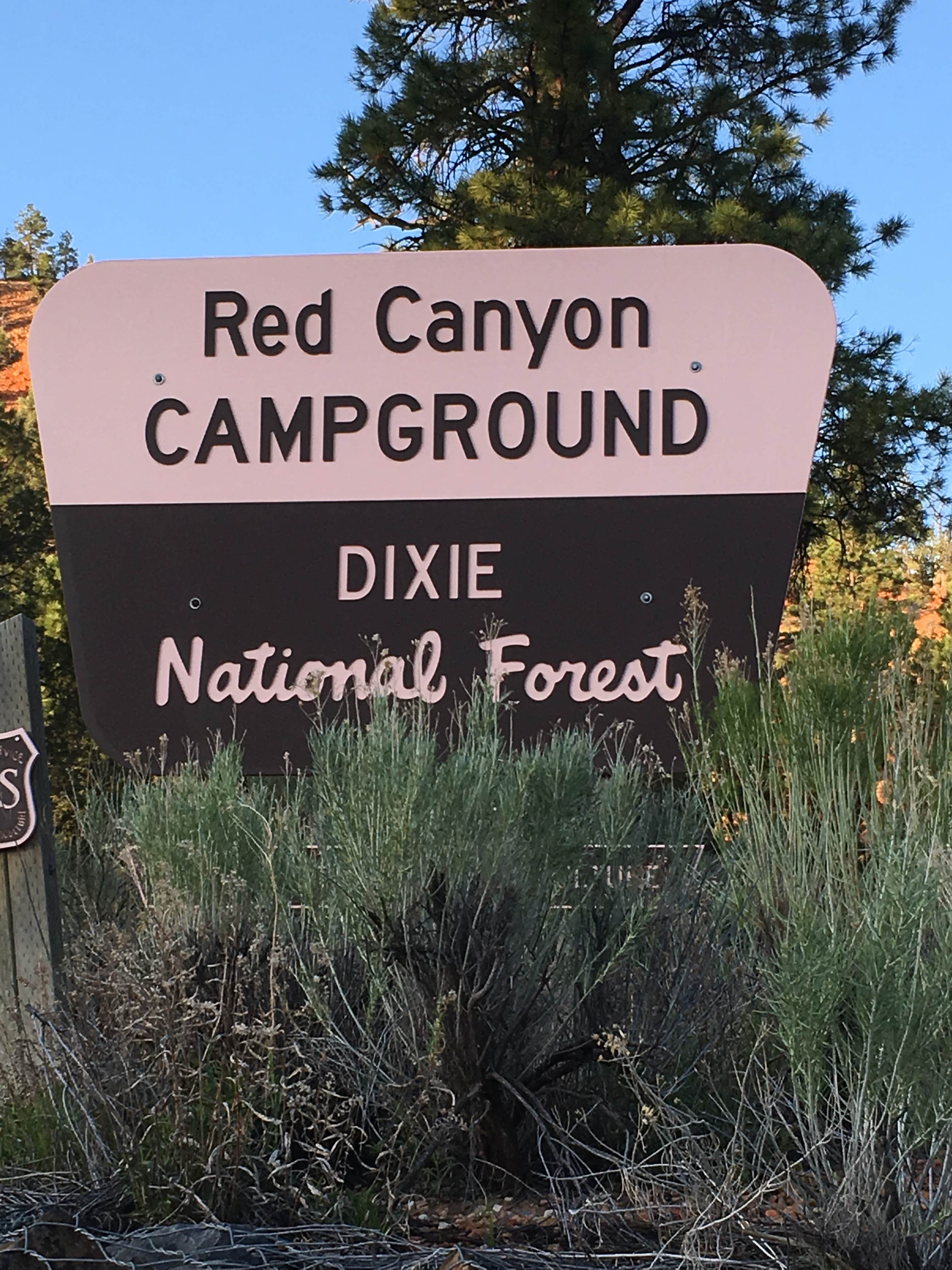Camper submitted image from Red Canyon Campground - 4