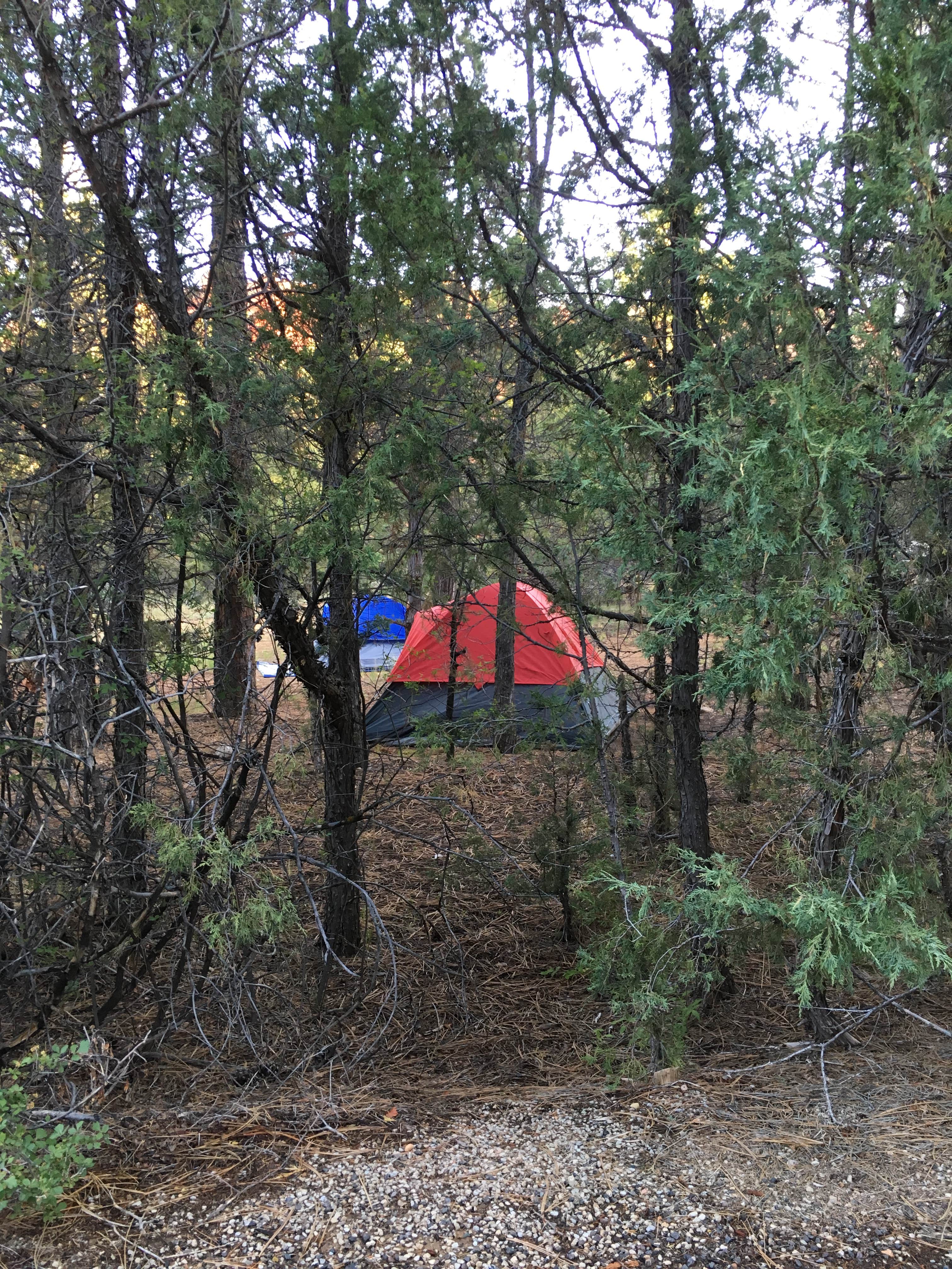 Annie C.'s photo at Red Canyon Campground near Dixie National Forest