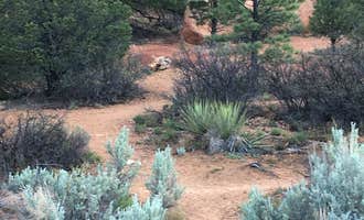 Camping near Hitch-N-Post RV Campground: Red Canyon Campground, Dixie National Forest, Utah