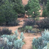 Review photo of Red Canyon Campground by Annie C., June 27, 2017