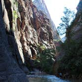 Review photo of Zion RV and Campground (Hi-Road) by Annie C., June 27, 2017