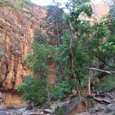 Review photo of Zion RV and Campground (Hi-Road) by Annie C., June 27, 2017