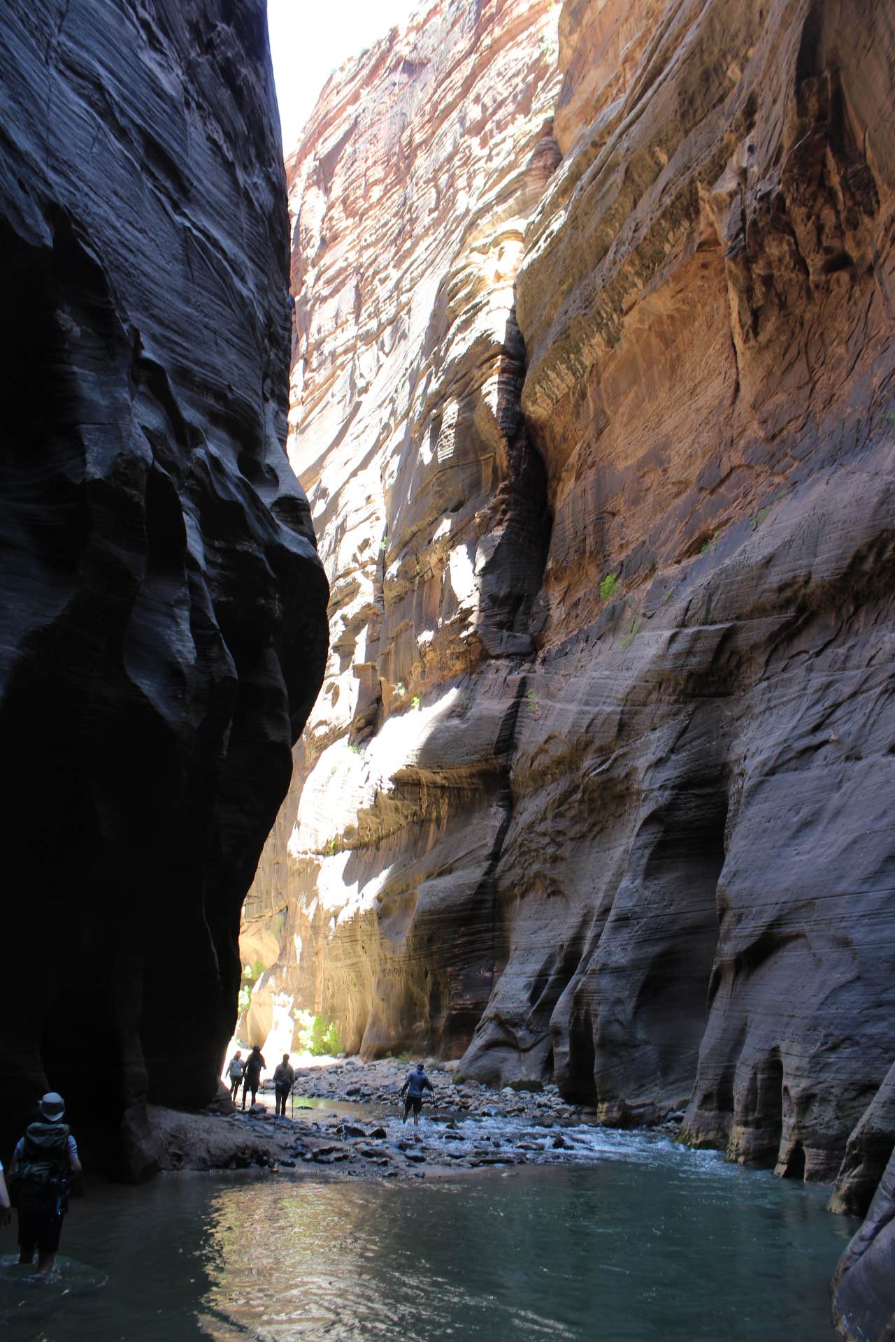 Camper-submitted photo at Zion RV and Campground (Hi-Road) near Rockville, UT