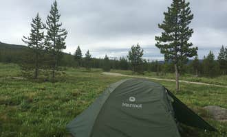 Camping near Lewis Lake - Yellowstone National Park — Yellowstone National Park: Sheffield Campground, John D. Rockefeller Jr. Memorial Parkway, Wyoming