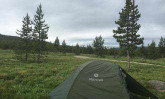 Camping near Lizard Creek Campground — Grand Teton National Park: Sheffield Campground, John D. Rockefeller Jr. Memorial Parkway, Wyoming