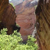 Review photo of Zion RV and Campground (Hi-Road) by Annie C., June 27, 2017
