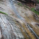 Review photo of Zion RV and Campground (Hi-Road) by Annie C., June 27, 2017
