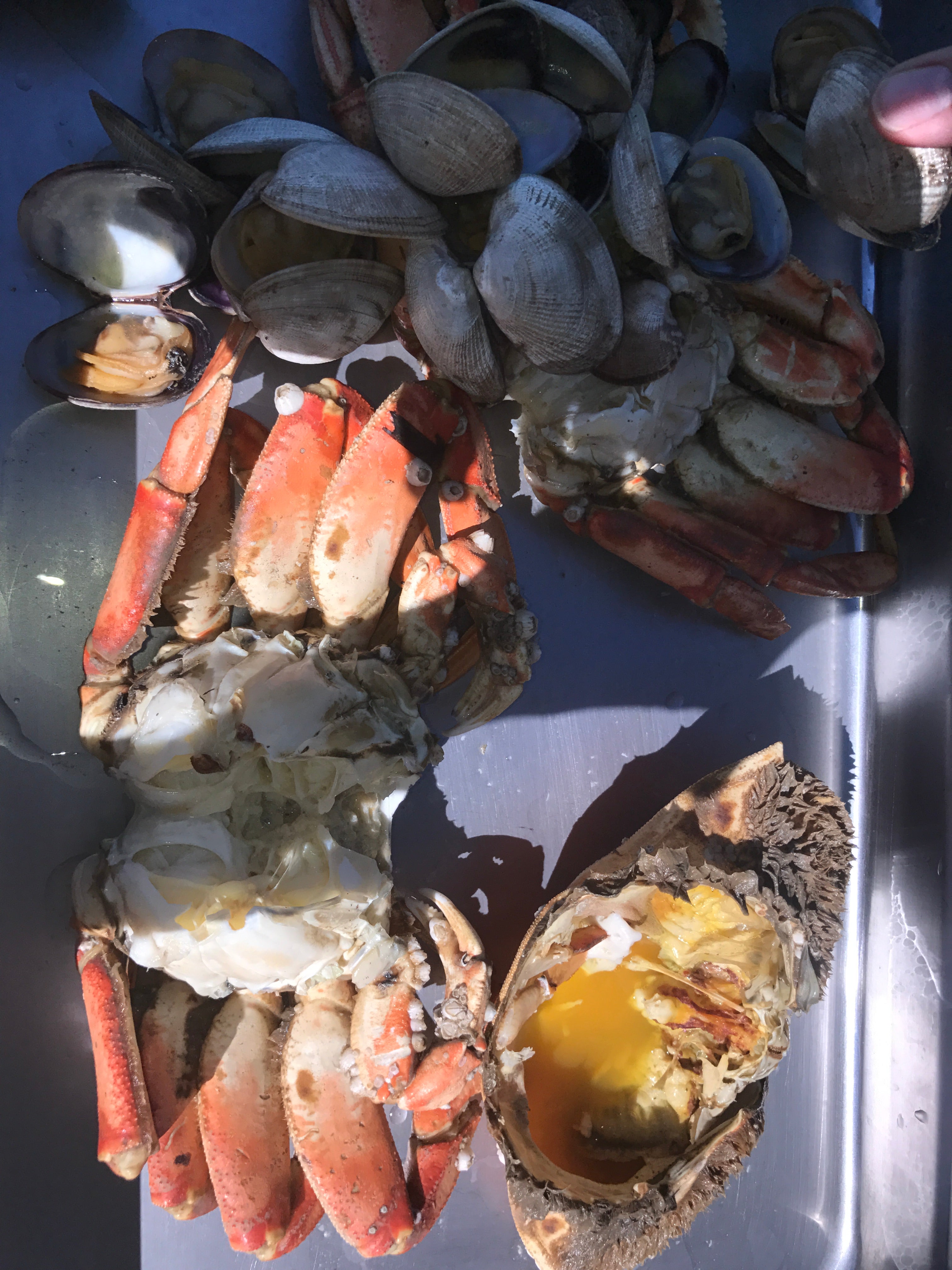 Fresh caught crabs and clams!