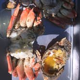 Review photo of Kelly's Brighton Marina by Stephanie Z., June 27, 2017