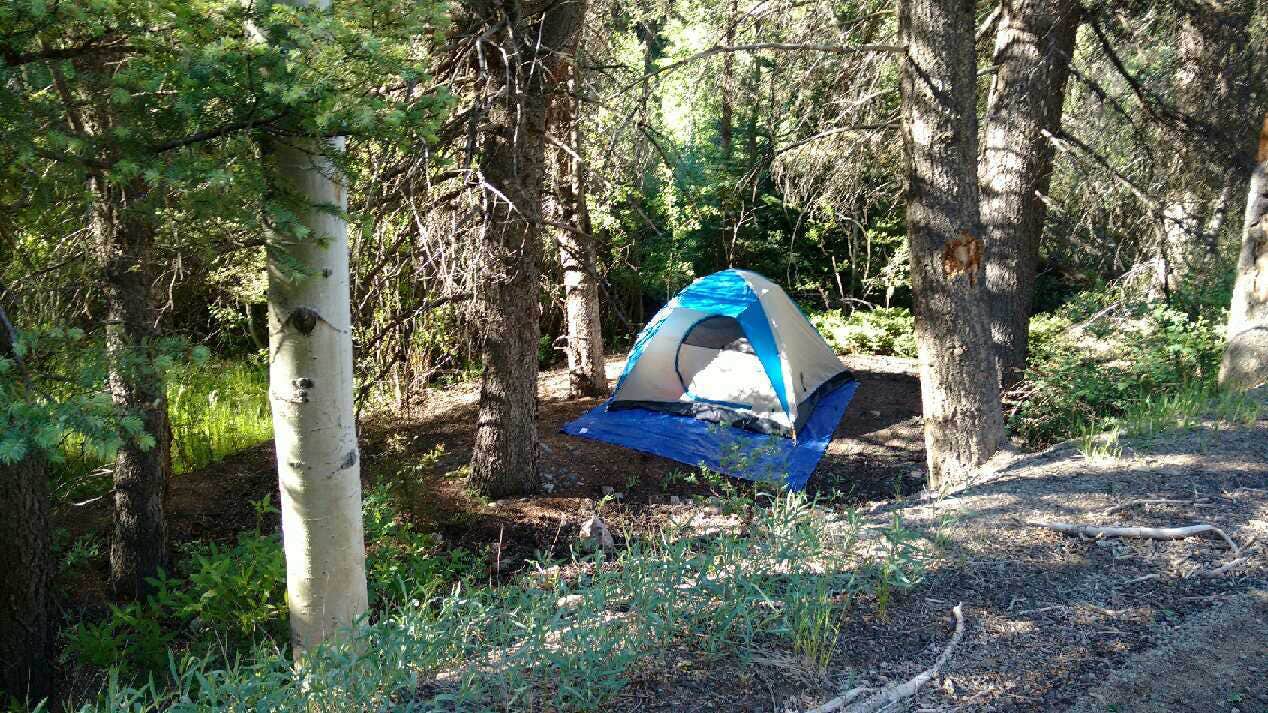 Camper submitted image from Manti Community - 4